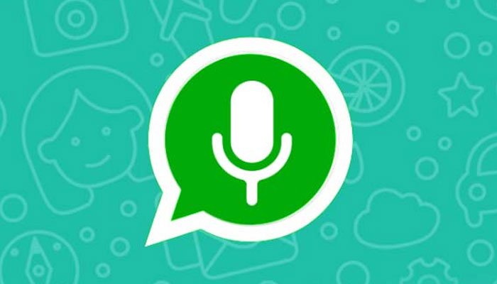 WhatsApp Voice Notes